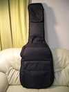 Gig case 2.jpg